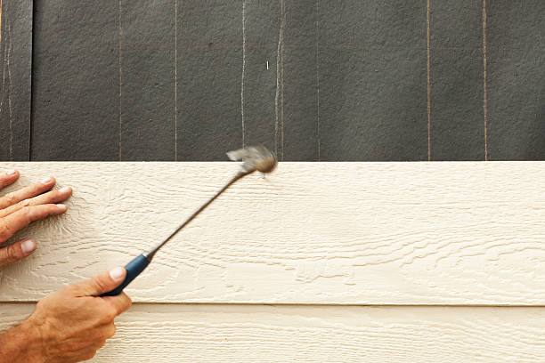 Best Siding for New Construction  in Henderson, TN