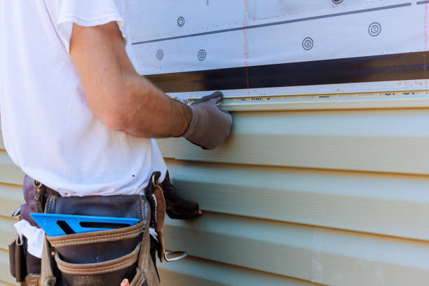 Best Storm Damage Siding Repair  in Henderson, TN